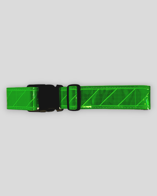 Reflective Web Belt